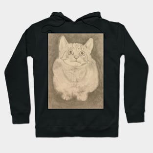 Crouching cat 7 Hoodie